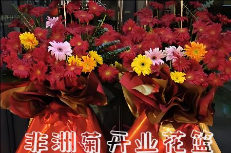 乌海海勃湾区开业花篮